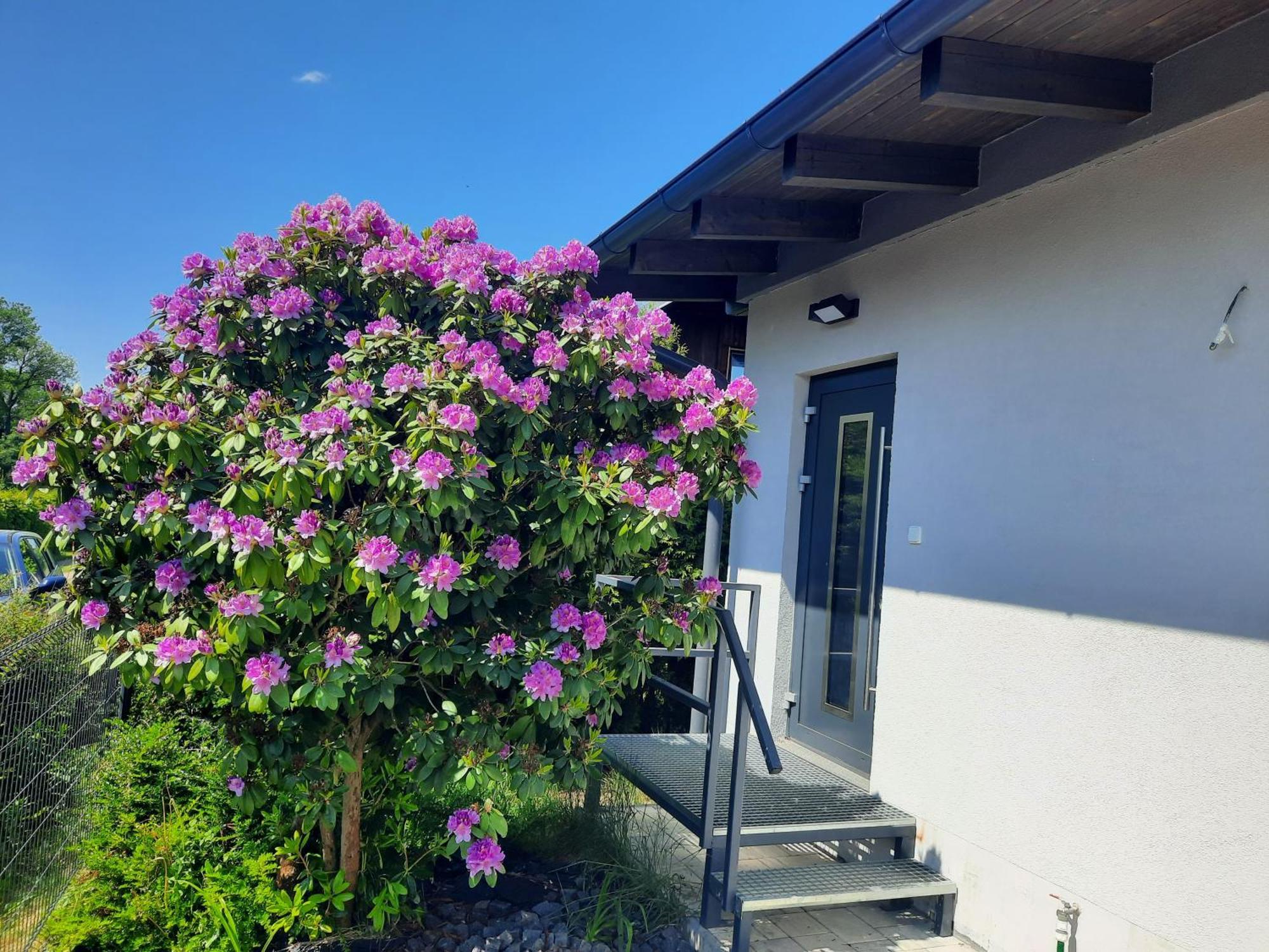 Bungalov Na Brehu Labe S Vlastnim Molem Pardubice Bagian luar foto